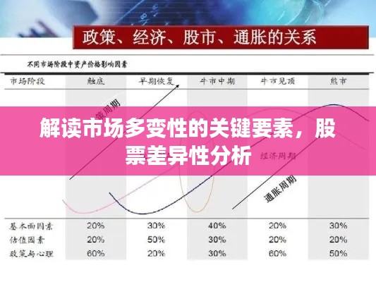解讀市場多變性的關鍵要素，股票差異性分析