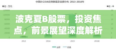 波克夏B股票，投資焦點(diǎn)，前景展望深度解析