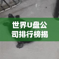 世界U盤(pán)公司排行榜揭曉，行業(yè)巨頭一覽無(wú)余！
