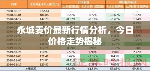 永城麥價(jià)最新行情分析，今日價(jià)格走勢(shì)揭秘