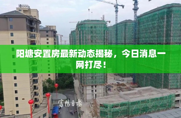 陽塘安置房最新動態(tài)揭秘，今日消息一網(wǎng)打盡！