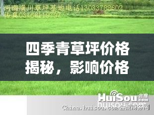 四季青草坪價格揭秘，影響價格的因素全解析