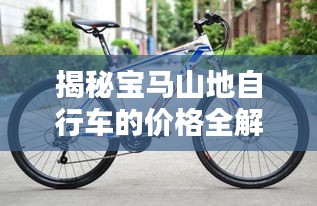 揭秘寶馬山地自行車的價(jià)格全解析！