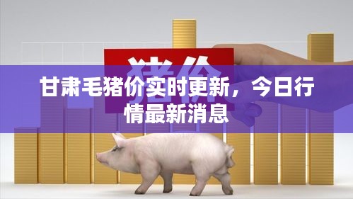 甘肅毛豬價(jià)實(shí)時(shí)更新，今日行情最新消息
