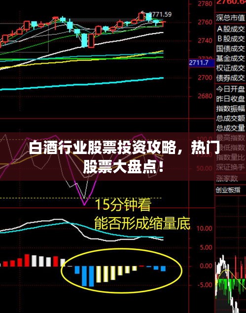 白酒行業(yè)股票投資攻略，熱門股票大盤點(diǎn)！