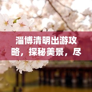 淄博清明出游攻略，探秘美景，盡享文化盛宴！