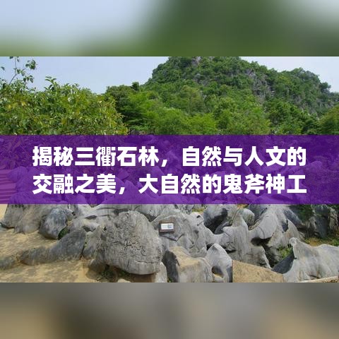揭秘三衢石林，自然與人文的交融之美，大自然的鬼斧神工欣賞