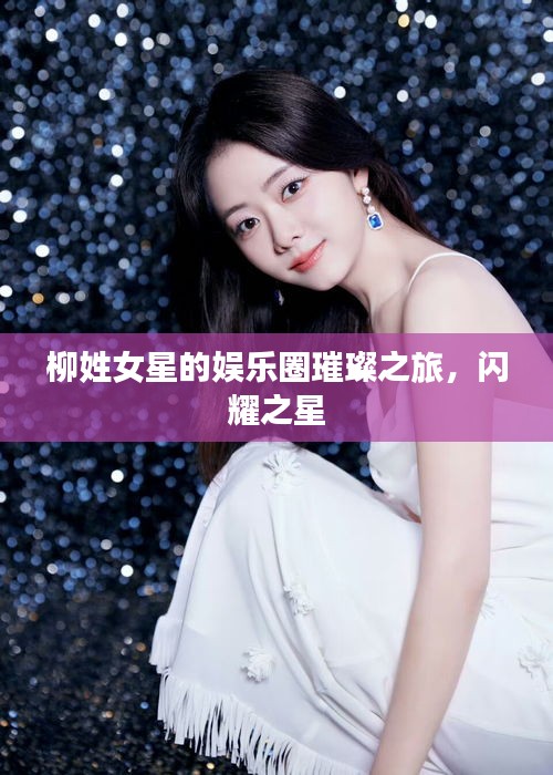 柳姓女星的娛樂(lè)圈璀璨之旅，閃耀之星