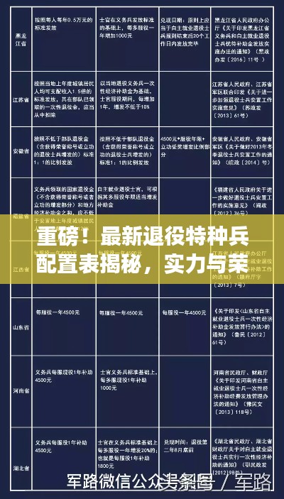 重磅！最新退役特種兵配置表揭秘，實力與榮耀并存