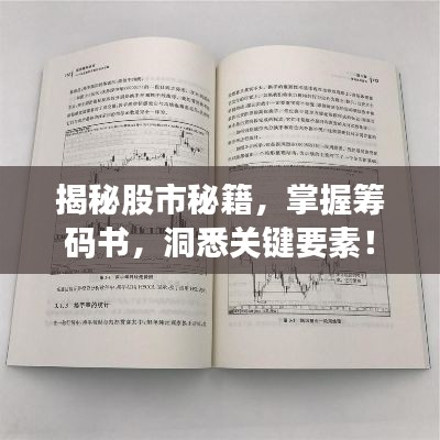 揭秘股市秘籍，掌握籌碼書，洞悉關(guān)鍵要素！