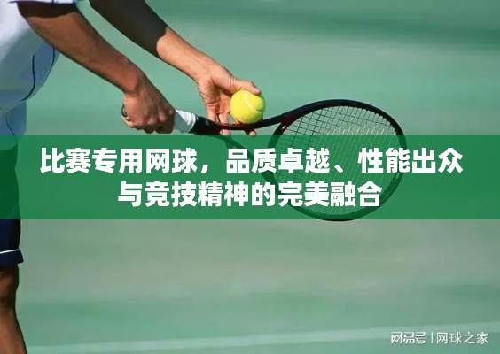 比賽專用網(wǎng)球，品質(zhì)卓越、性能出眾與競技精神的完美融合