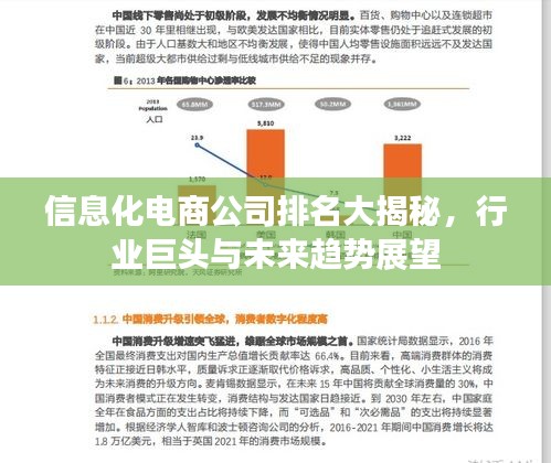 信息化電商公司排名大揭秘，行業(yè)巨頭與未來(lái)趨勢(shì)展望