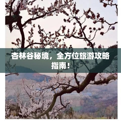 杏林谷秘境，全方位旅游攻略指南！