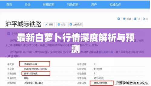 最新白蘿卜行情深度解析與預(yù)測