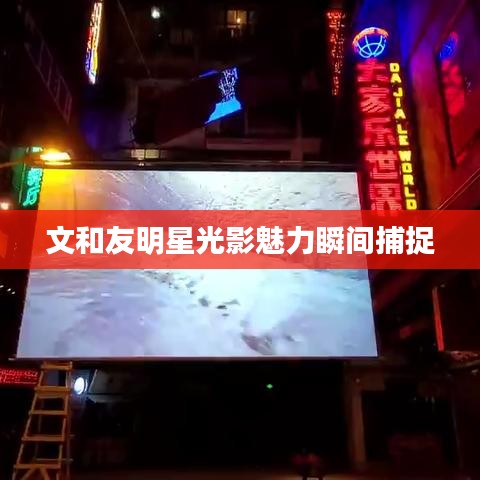 文和友明星光影魅力瞬間捕捉