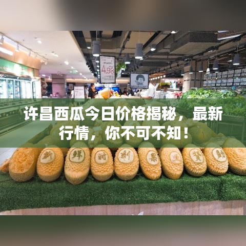許昌西瓜今日價(jià)格揭秘，最新行情，你不可不知！