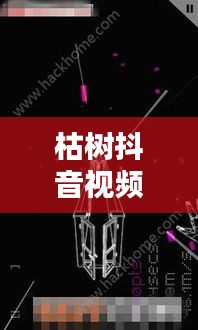 枯樹抖音視頻，探索最新版視頻世界，體驗獨特魅力