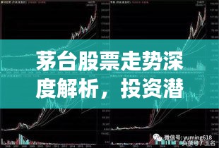 茅臺股票走勢深度解析，投資潛力與風險洞察