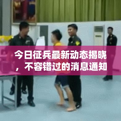 今日征兵最新動態(tài)揭曉，不容錯過的消息通知！
