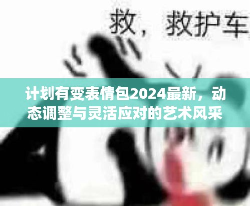 計(jì)劃有變表情包2024最新，動(dòng)態(tài)調(diào)整與靈活應(yīng)對(duì)的藝術(shù)風(fēng)采