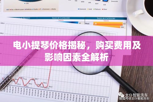 電小提琴價(jià)格揭秘，購買費(fèi)用及影響因素全解析