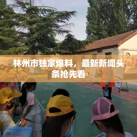 林州市獨(dú)家爆料，最新新聞頭條搶先看