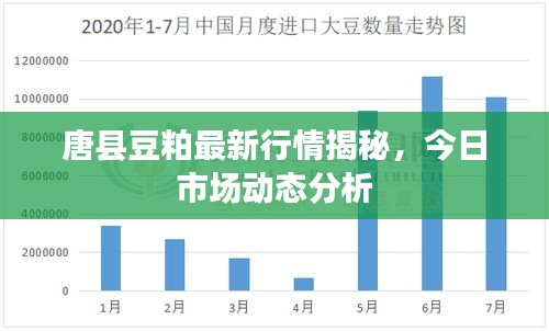 唐縣豆粕最新行情揭秘，今日市場動態(tài)分析