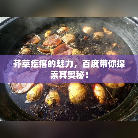 芥菜疙瘩的魅力，百度帶你探索其奧秘！