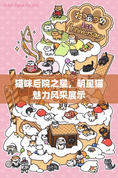 貓咪后院之星，明星貓魅力風(fēng)采展示