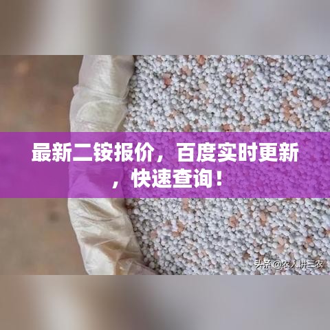 最新二銨報(bào)價(jià)，百度實(shí)時(shí)更新，快速查詢(xún)！