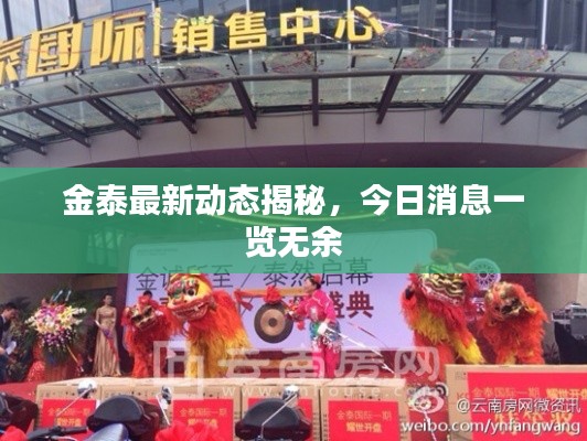 金泰最新動態(tài)揭秘，今日消息一覽無余