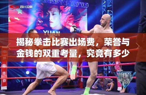 揭秘拳擊比賽出場費，榮譽與金錢的雙重考量，究竟有多少？