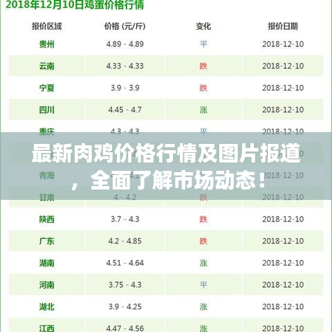 最新肉雞價格行情及圖片報道，全面了解市場動態(tài)！